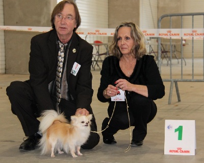 Des Petits Sacripants - EXPO  LAVAL 