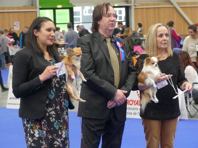 Des Petits Sacripants - EXPOSITION PARIS DOG SHOW