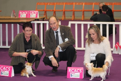 Des Petits Sacripants - SPECIALE DE NANTES