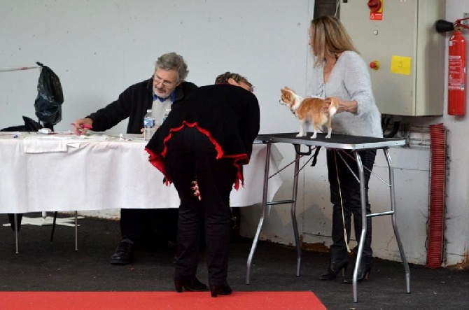 Des Petits Sacripants - EXPOSITION INTERNATIONALE DE ROUEN 