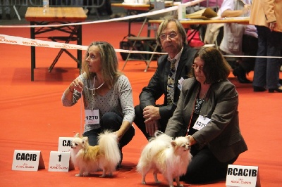 Des Petits Sacripants - EXPO de PONTOISE