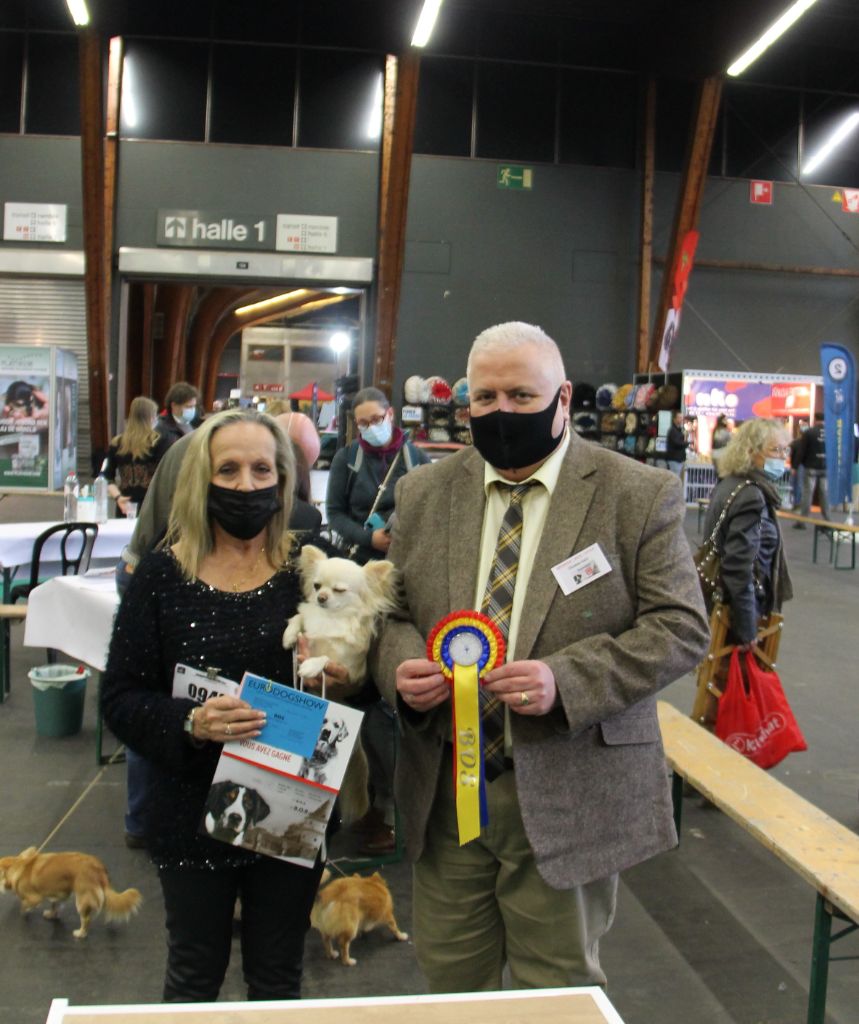 Des Petits Sacripants - EURODOGSHOW  KORTRIJK 